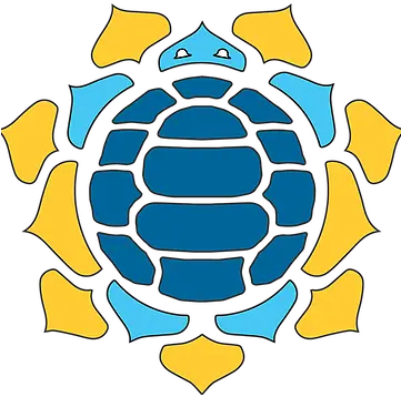  Blue Tortoise Yoga New Studio Aston Pa United States Clip Art Png Tortoise Png