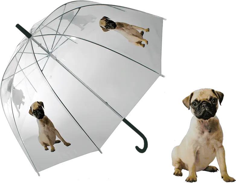  Download Details About Umbrella Pug Dog Clear Transparent Paraguas Pug Png Pug Transparent