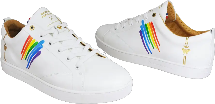  Shoes Sneaker Baron Papillon Rainbow Sneakers Rainbow Png Rainbow Facebook Icon