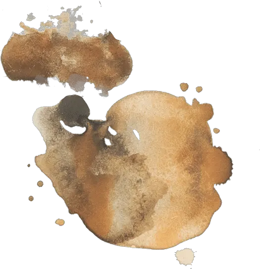  Coffee Splatter Stains Stain Png Coffee Stain Transparent