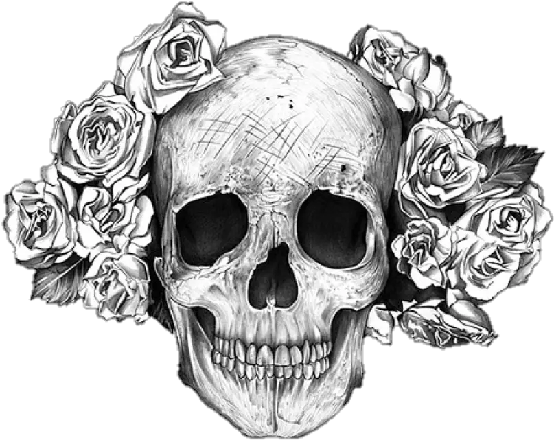  Rose Skull Transparent Png Image Skull And Roses Tattoo Meaning Skull Transparent Png