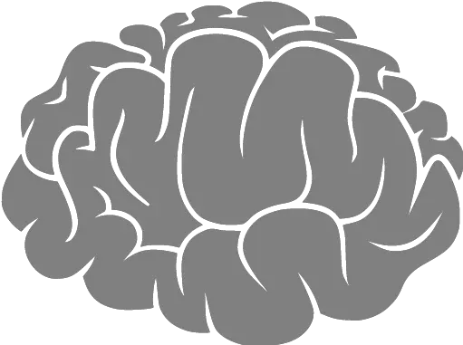  Gray Brain 2 Icon World Brain Tumor Day 4k Hd Png Brain Icon Free