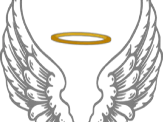  Transparent Angel Wings Vector Png Angel Wings Png Clipart Angel Halo Transparent