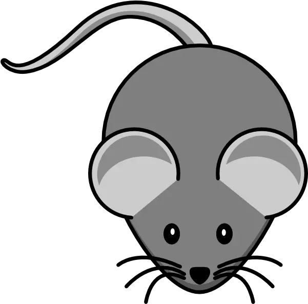  Mouse Animal Clipart Cartoon Picture Of Mouse Png Mouse Animal Png