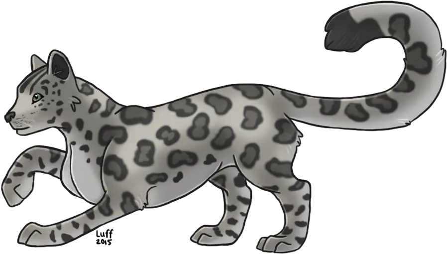  Download Snow Leopard Clouded Leopard Png Image With No Clouded Leopard No Background Snow Leopard Png