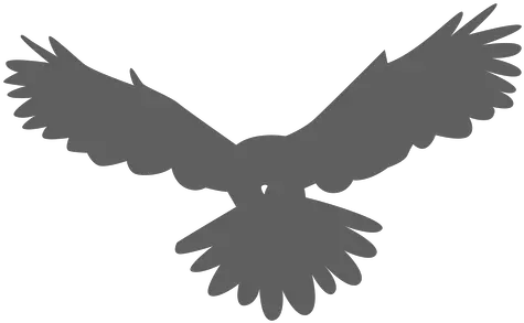  Owl Wing Eagle Silhouette Transparent Eagle Silhouette Png Owl Silhouette Png