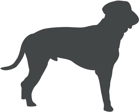  Old Dog Silhouette Posing Ad Aff Sponsored Dog Png Dog Silhouette Png