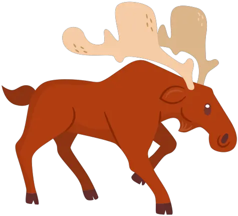  Moose Animal Cartoon Transparent Animal Png Cartoons Moose Png