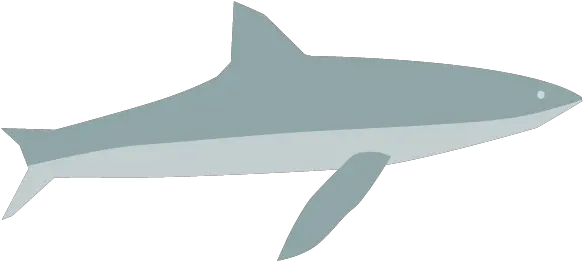  Shark Clip Art Material Free Illustration Image Wholphin Png Shark Clipart Png