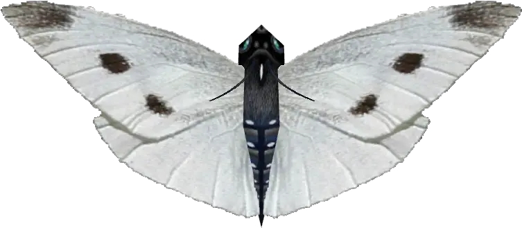  Download Ambient Small White Butterfly Moth Full Size White Moth Png Moth Png