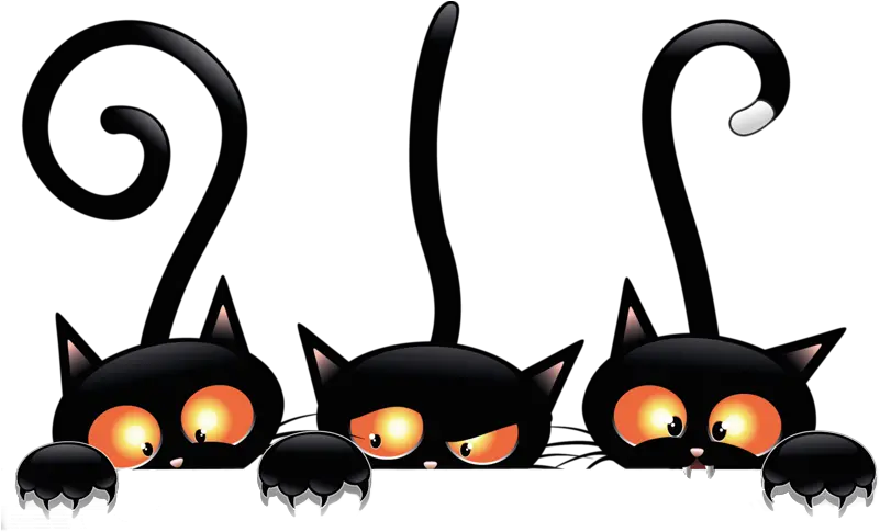  Bristling Black Cats Halloween Cat Transparent Png Funny Cat Png