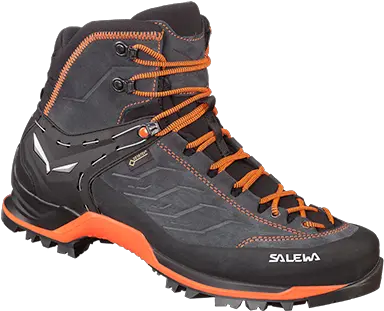  Footwear Salewa International Salewa Mtn Trainer Gtx Png Icon Reign Waterproof Boots