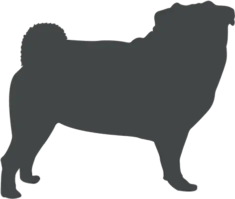  Bulldog Silhouette Posing Transparent Png U0026 Svg Vector File Pug Bulldog Transparent Background