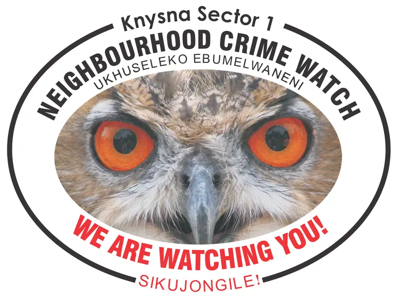  Owls Neighbourhood Watch Knysna Heights And Paradise Owl With Big Eyes Png Owl Eyes Logo