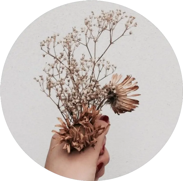  Download Tumblr Aesthetic Brown Flower Flowers Png Brown Aesthetic Flowers Png Tumblr