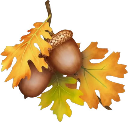  Gems Cottage Blog Archive Fall Leaves Acorn Png Acorn Transparent Background