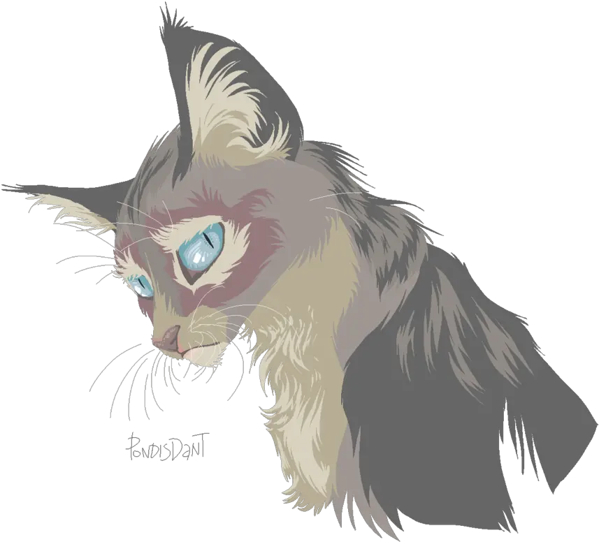  Kitten Whiskers Cat Drawing Art Sad Cat Art Png Sad Cat Png