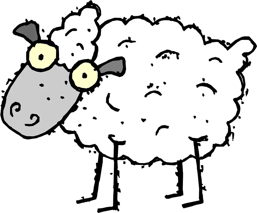  Sheep Eyes Crazy Stupid Sheep Clipart Png Crazy Eyes Png