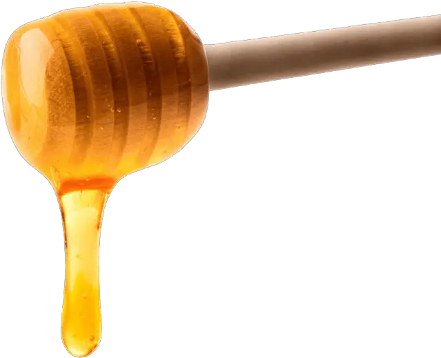  Picture Transparent Honey Drip Png Honey Transparent