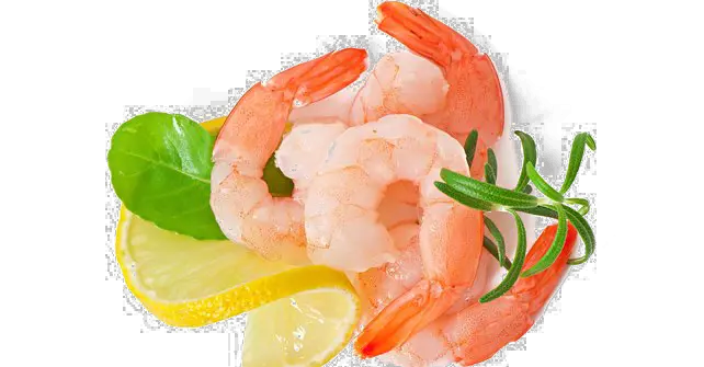  Download Shrimp Transparent Images Shrimp Images No Background Png Shrimp Png