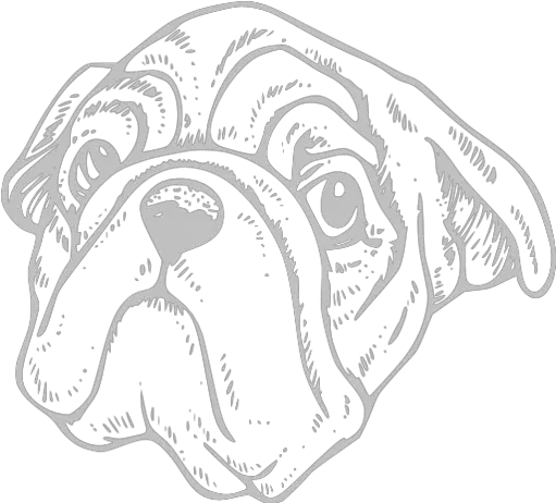  Silver Dog Icon Free Silver Dog Icons Bulldog Png Bull Dog Icon