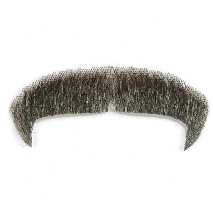  Moustache Png Image Transparent Real Mustache Png Transparent Mustache Png Transparent