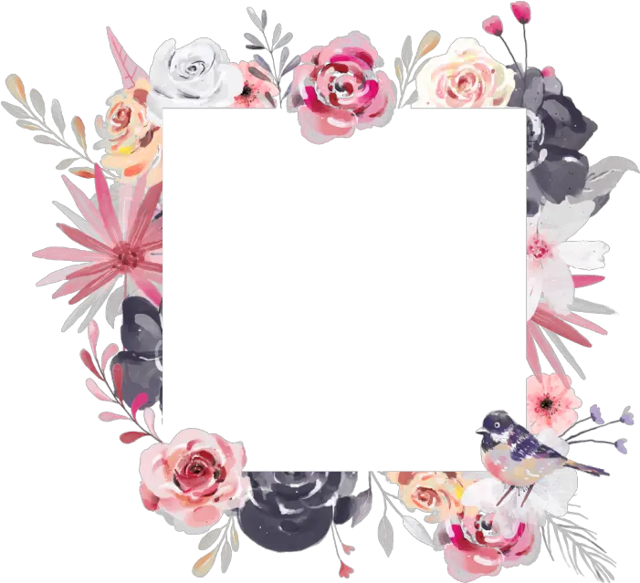  Watercolor Frame Png Transparent Background Floral Frame Square Frame Png