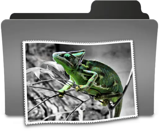  Pictures Ii Icon Neutro Theme Icons Softiconscom Picture Frame Png Lizard Icon