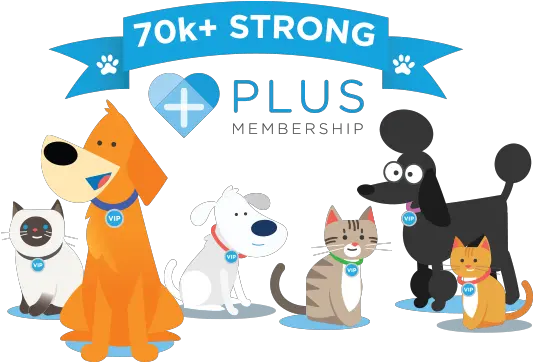  Thrive Plus Membership Plans For Your Cat U0026 Dog Png Platinum Cats Vs Dogs Icon