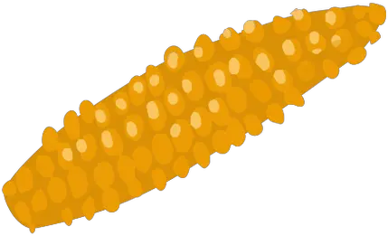  Golden Corn Cob Isometric Transparent Png U0026 Svg Vector File Clip Art Corn On The Cob Png