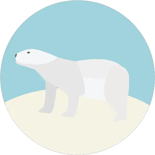  Polar Bear Png Image