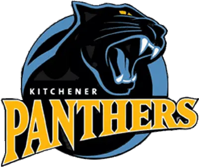  Download Sport Logos With Animal Images Kitchener Panthers Animal Sports Team Logo Png Panthers Logo Png