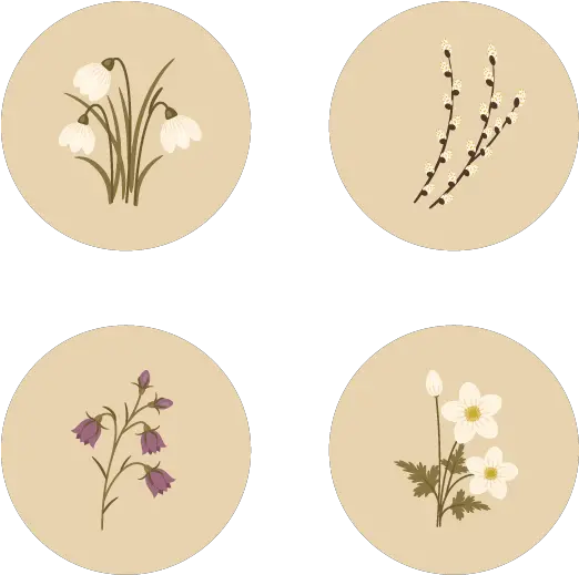  How To Create Spring Flowers From Basic Shapes In Adobe Beige Flower Drawing Png Flower Illustration Png