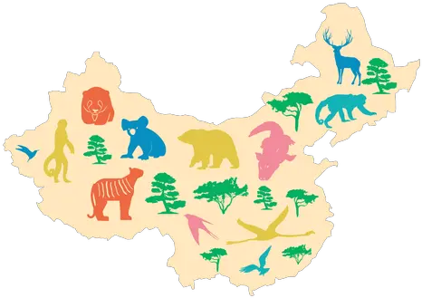  China Map Illustration Transparent Png U0026 Svg Vector File China Map Chinese Dragon Transparent Background