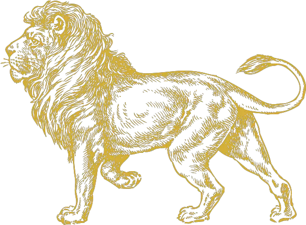  Golden Lion Clip Art Vector Clip Art Online Lion Drawing Png Lion Png Logo