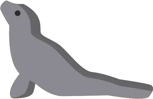  Sea Lion Earless Seal Walrus Mammal Fur Seal Png Sea Lion Png