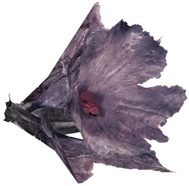  Melon Bloom Fallout 76 Melon Bloom Location Png Fallout 4 Honeycomb Icon