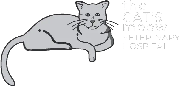  The Catu0027s Meow Veterinary Hospital Cat Animal Clinic Soft Png Cat Lineart Transparent