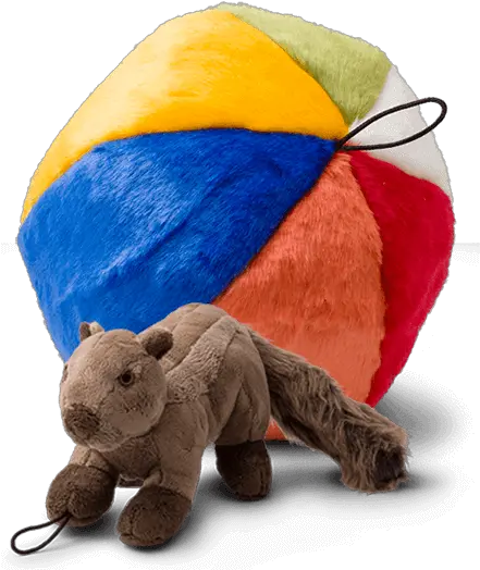  Dog Toys Mud Bay Soft Png Dog Toy Png