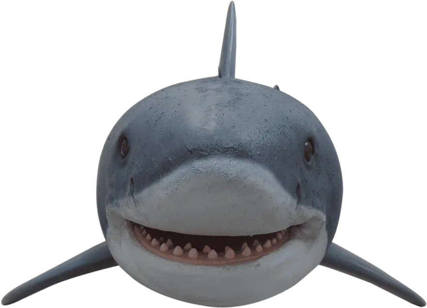  Download Great White Shark Great White Shark Png Great White Shark Png