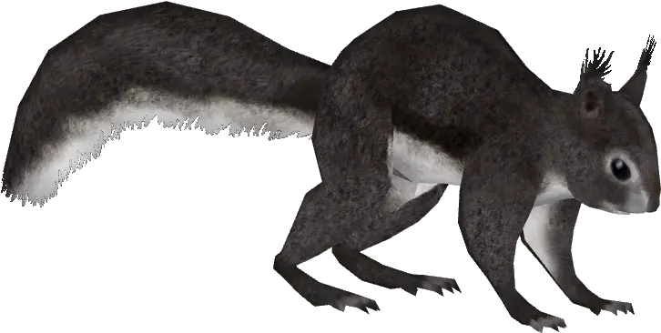  Abertu0027s Squirrel Mibound Zt2 Download Library Wiki Fandom Squirrel Png Squirrel Transparent