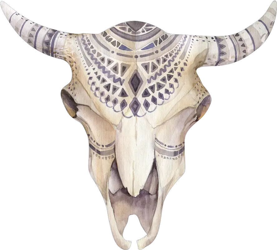  Download Boho Animal Skull Png Water Paint Of Flower Cow Skull Png