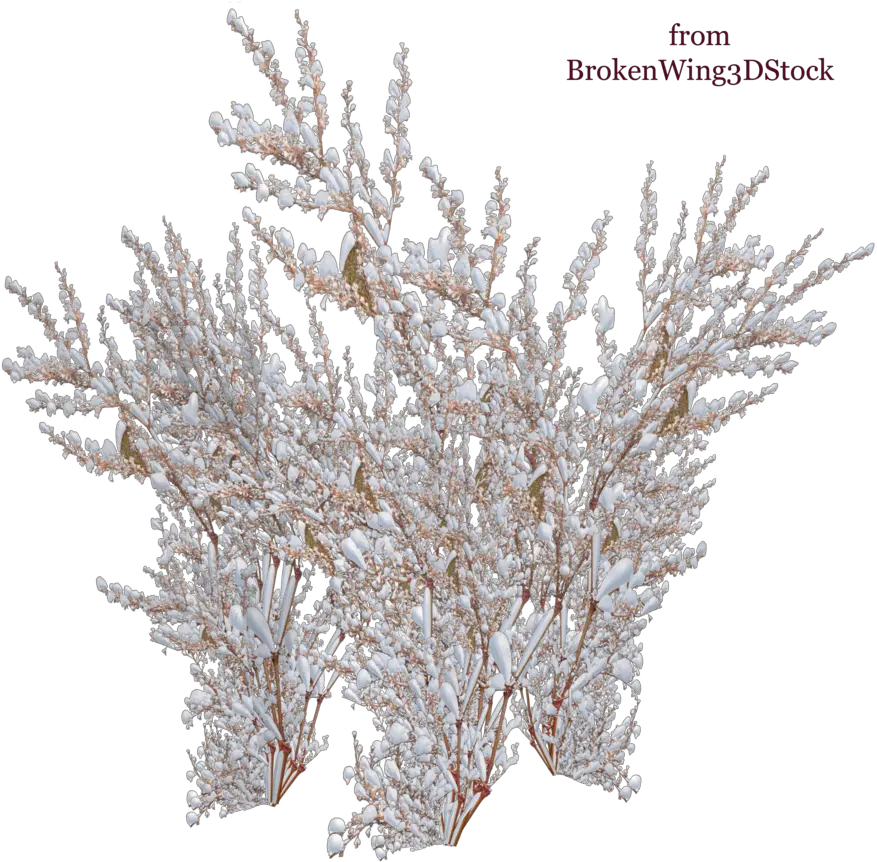  Download The Snow Winter Bush Png Snow Tree Png