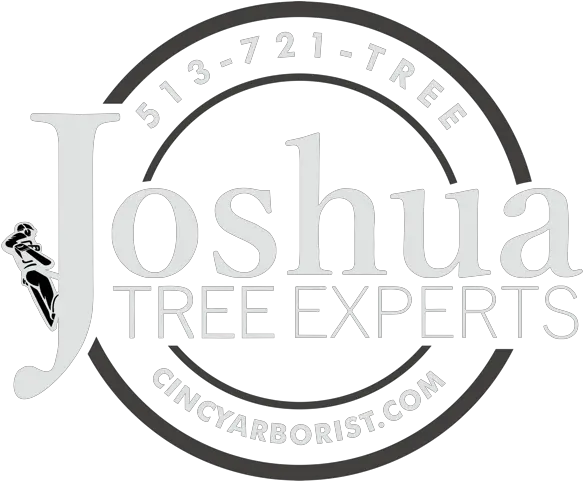  Joshua Tree Experts Relax Full Size Png Download Seekpng Circle Relax Png