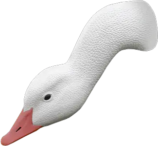  Goose Head Transparent U0026 Png Clipart Free Download Ywd Mallard Goose Png