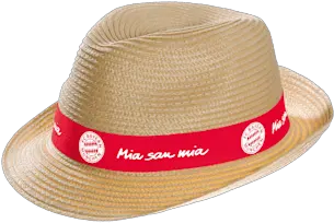  Straw Hat Straw Hat Png Straw Hat Icon