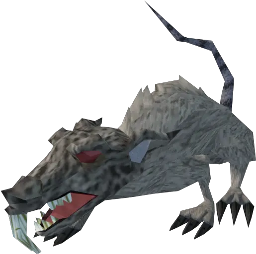  Zombie Rat The Runescape Wiki Dragon Png Rat Png