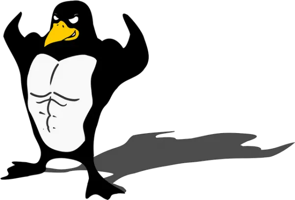  Penguin Bodybuilder Linux Muscle Transparent Png Images Penguin Bodybuilder Body Builder Png