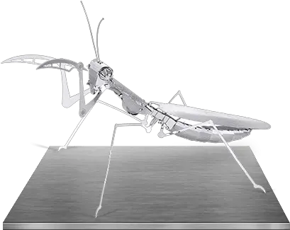  Metal Earth Praying Mantis 3d Metal Mantis Png Praying Mantis Png