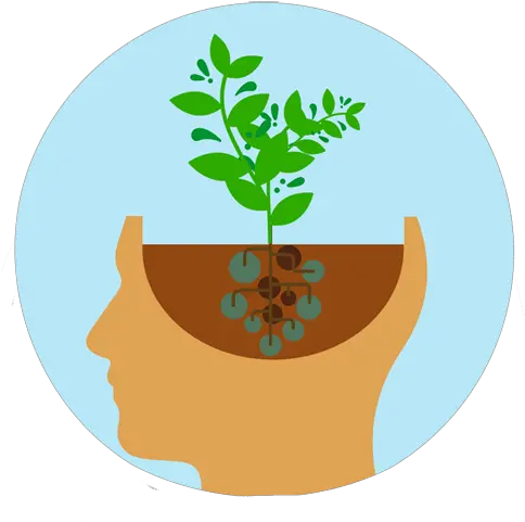  How To Develop A Growth Mindset In Growth Mindset Png Programlar Icon